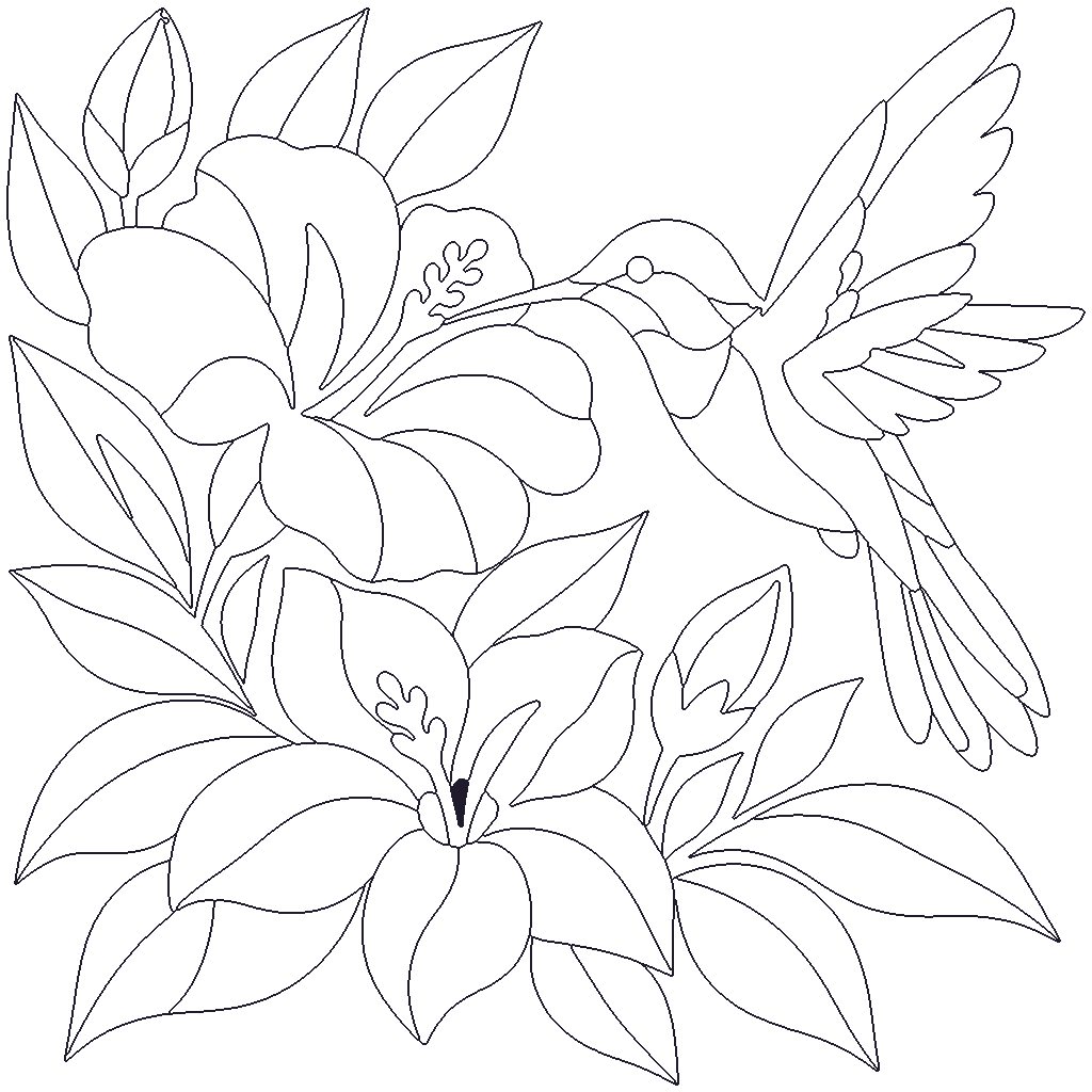 Hummingbird Garden outline