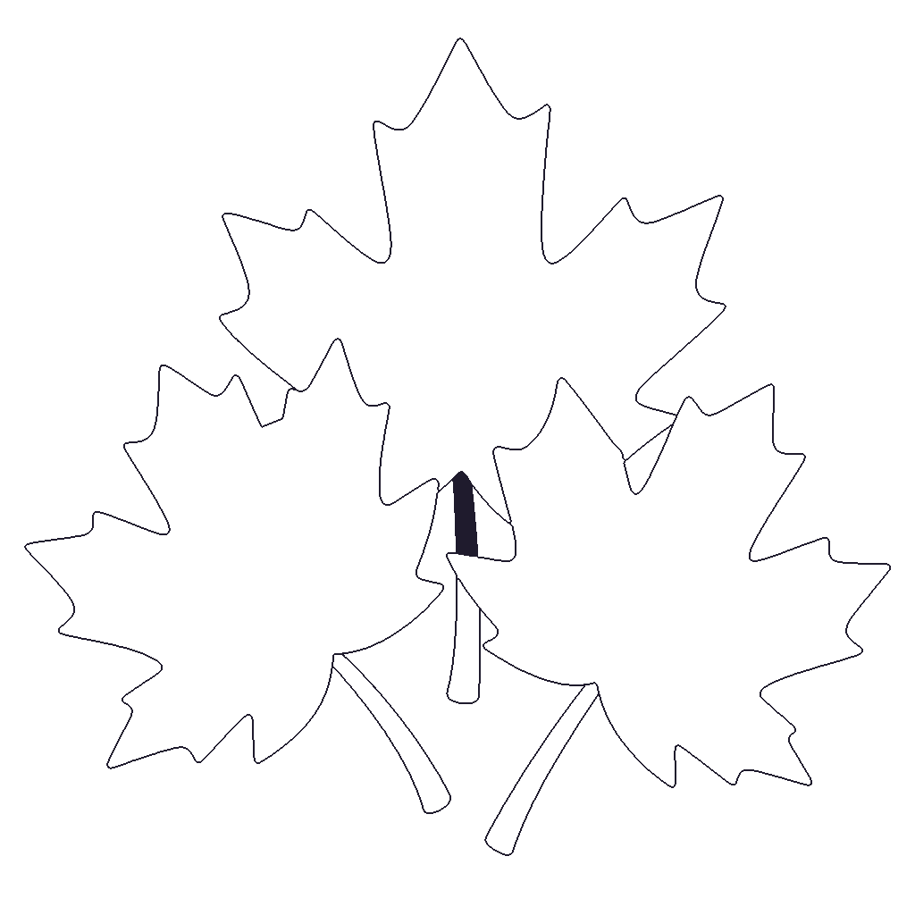 Maple Leaves outline
