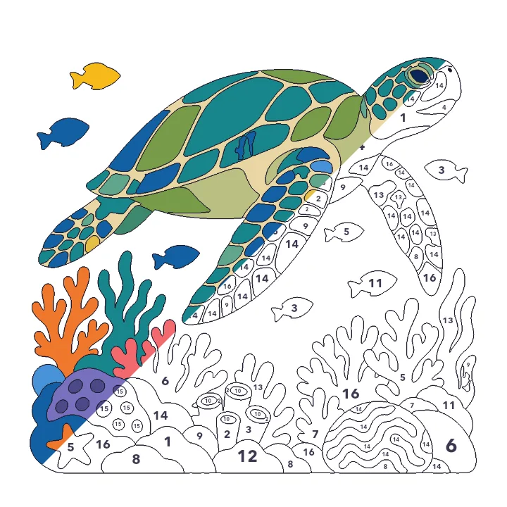 Sea Turtle Reef color by number page, half colored to show the finished picture